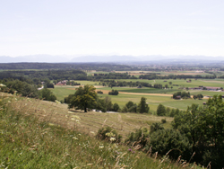 Hirschberg kl